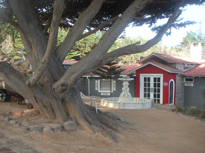 Isla negra